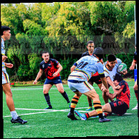 代表鼎盛平台发展里程碑的图标集